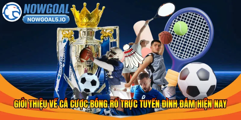 Giới thiệu về cá cược bóng rổ trực tuyến đình đám hiện nay